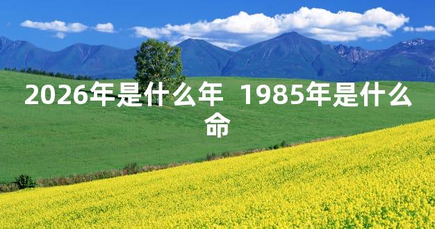 2026年是什么年  1985年是什么命